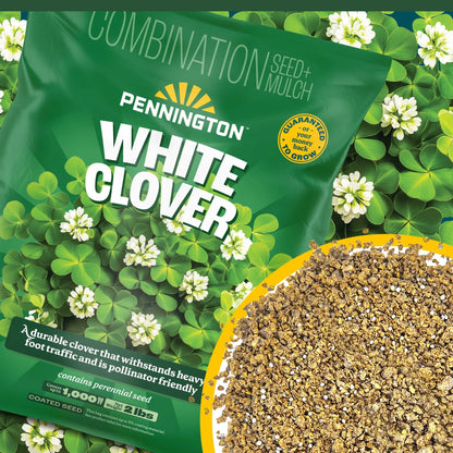 (2 Pack)  White Clover Seed, 2Lb