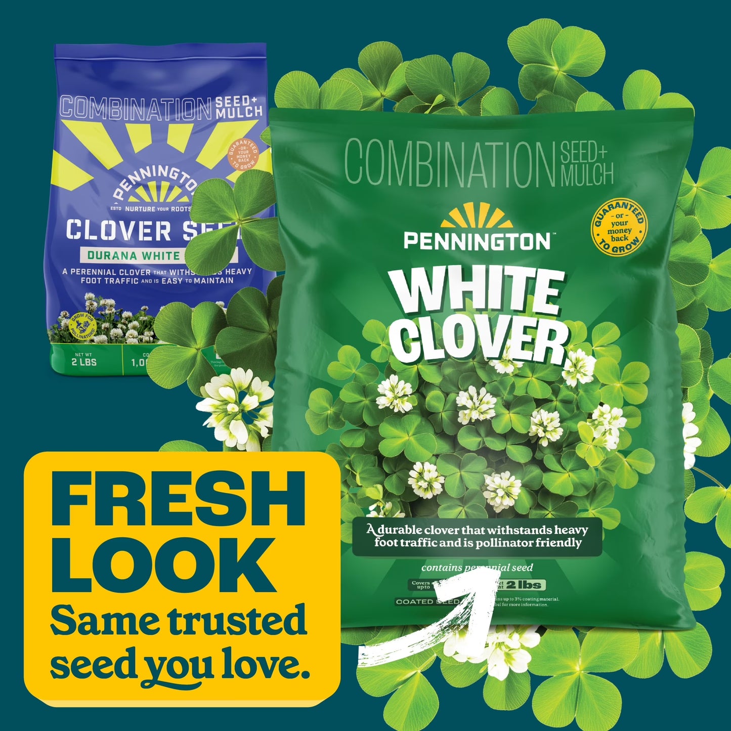 (2 Pack)  White Clover Seed, 2Lb