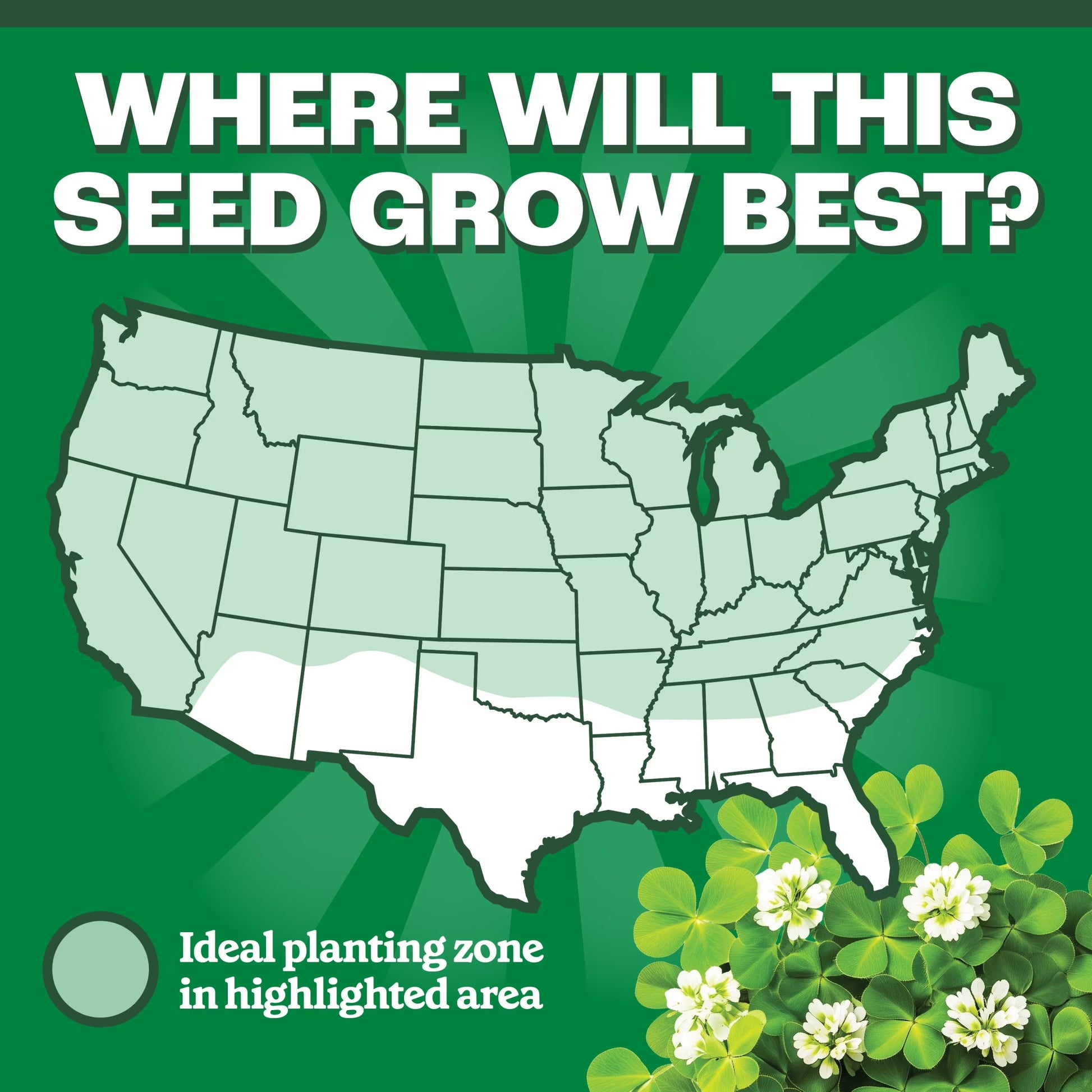 (2 Pack)  White Clover Seed, 2Lb