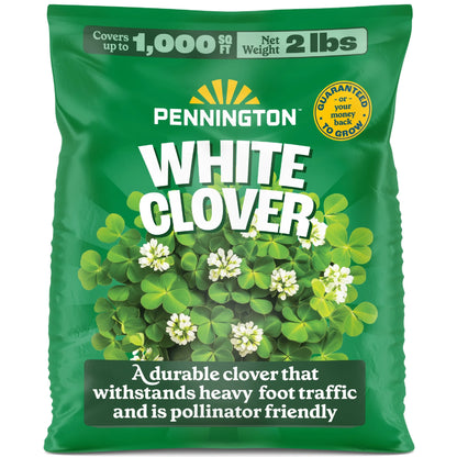 (2 Pack)  White Clover Seed, 2Lb