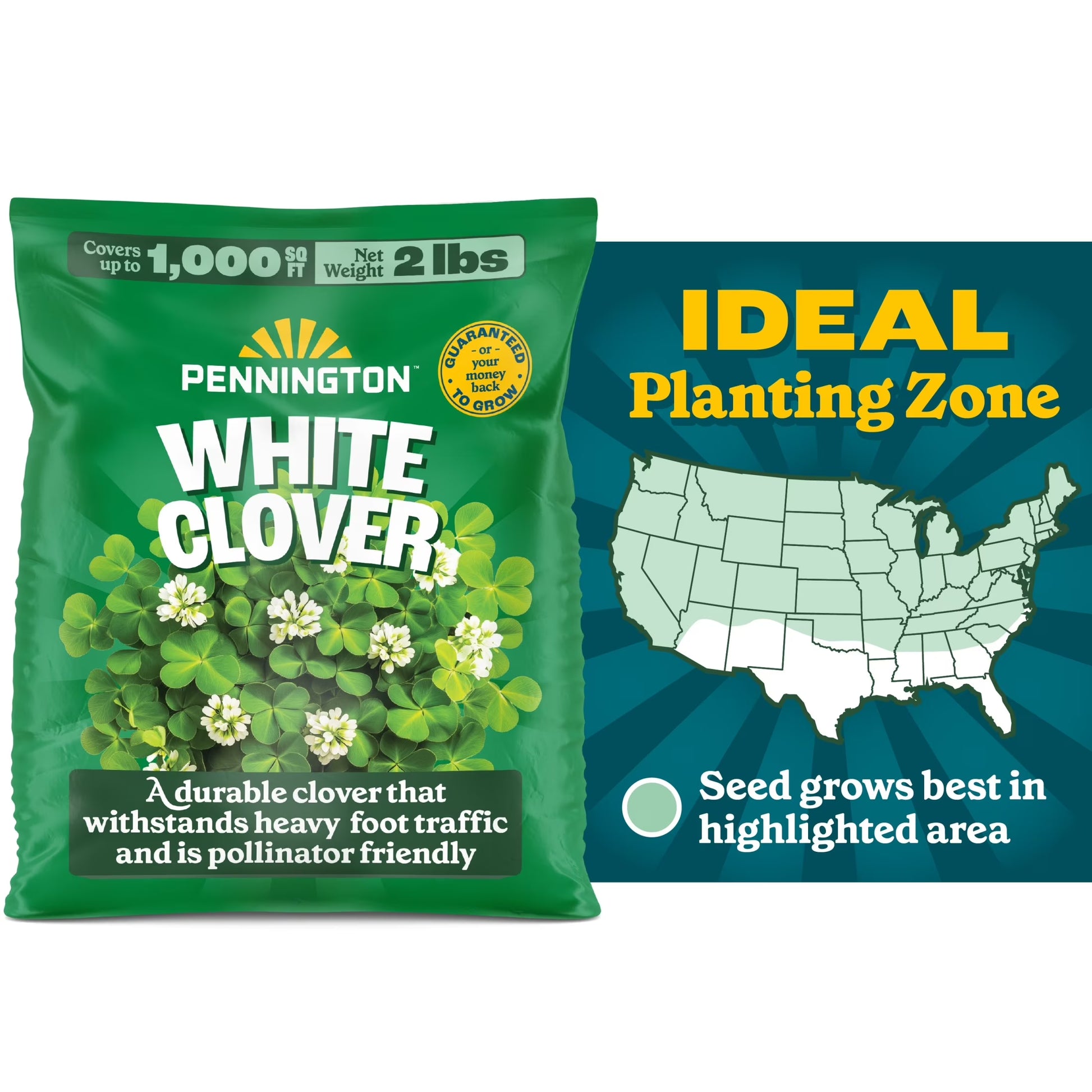 (2 Pack)  White Clover Seed, 2Lb
