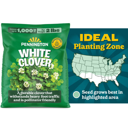 (2 Pack)  White Clover Seed, 2Lb